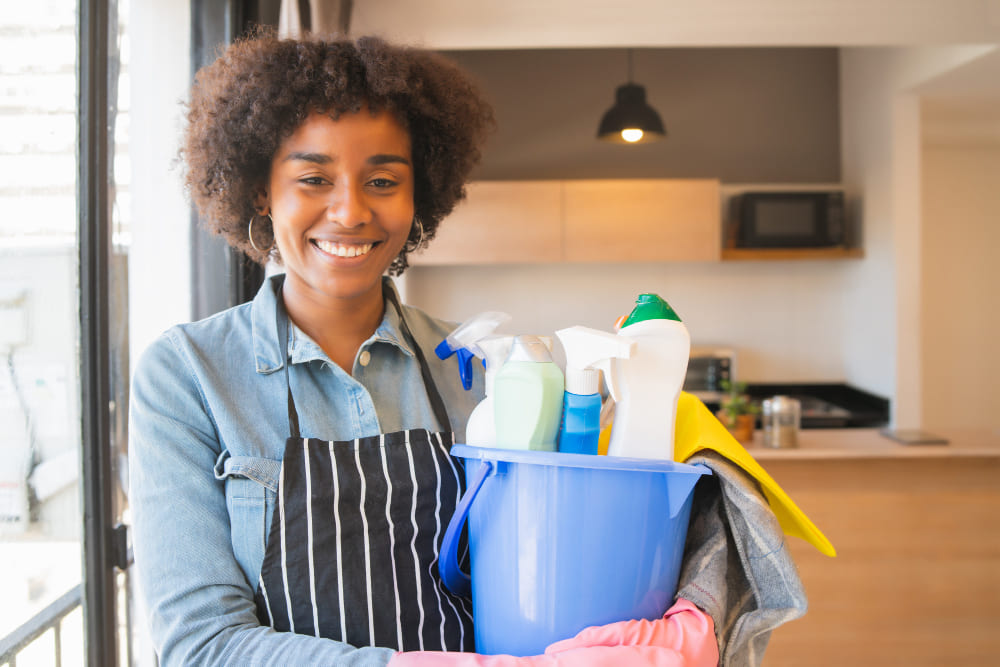 house cleaner